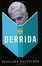 Cover of "How to Read Derrida"