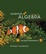 Cover of Elementary Algebra