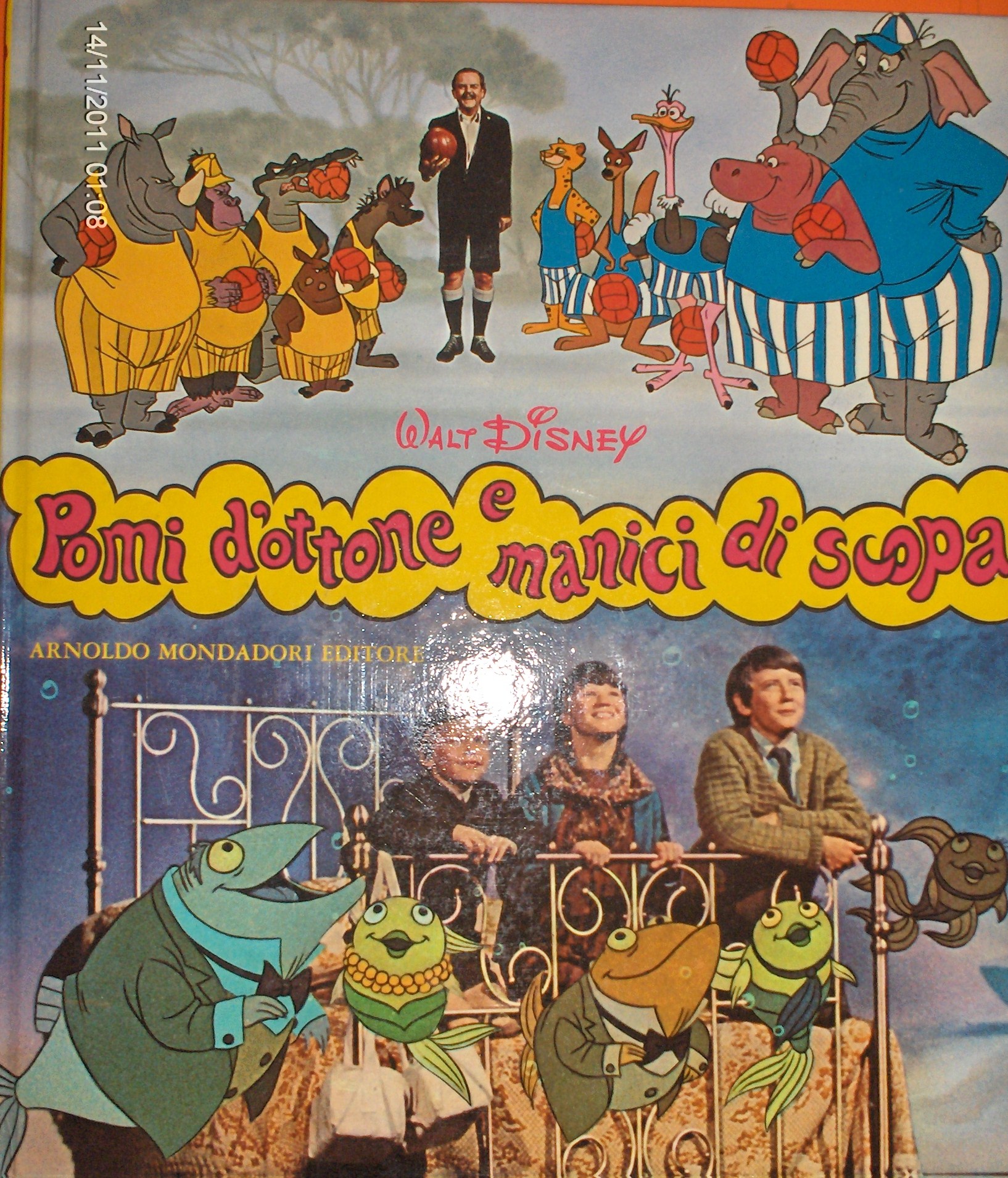 Pomi D Ottone E Manici Di Scopa