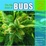 Cover of 'The Big Book of Buds, Vol. 2'