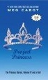Cover of Project Princess