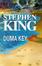 More about Duma Key