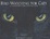 Cover of Bird Watching for Cats