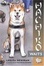 Cover of "Hachiko Waits"