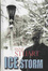 Cover of 'Ice Storm'