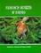 Cover of Proboscis Monkeys of Borneo