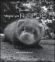 Cover of Voglio un furetto
