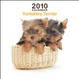 Cover of Yorkshire Terrier (Bt Artlist) 2010 6x6 Mini