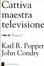 Cover of "Cattiva maestra televisione"