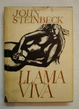 Cover of La llama viva
