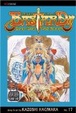 Cover of Bastard!!, Vol. 17