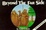 Cover of "Beyond the Far Side"