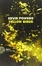Cover of Yellow birds
