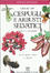 Cover of Cespugli e arbusti selvatici in natura e in giardino