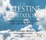 Cover of "The Celestine Meditations"