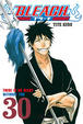 Cover of Bleach #30