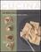 Cover of Il mio corso di cucina. Vol. 3