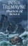 Cover of "Master of Souls~Peter Tremayne"