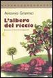 Cover of L'albero del riccio