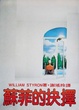 Cover of 蘇菲的抉擇