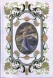 Cover of Cime tempestose