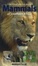 Cover of The Pocket Photoguide to Mammals of Southern Africa
