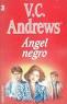 Cover of Angel Negro