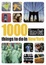 Cover of 1000 Things to Do in New York