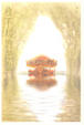 Cover of 收不起的思念