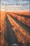 Cover of Il potere del cane
