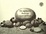 Cover of "On My Beach There Are Many Pebbles"