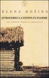 Cover of Attraverso la steppa in fiamme