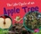 Cover of The Life Cycle of an Apple Tree