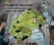 Cover of Trough My Microscope