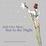 Cover of "If You're Afraid of the Dark Add One More Star to the Night"