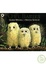 Cover of Owl babies
