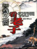 智慧之窗看老子