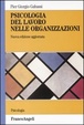 Cover of Psicologia del lavoro nelle organizzazioni