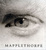 Cover of 'Mapplethorpe'