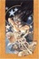 Cover of Wonder Woman