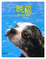 Cover of 晚福