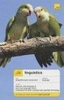 Cover of Linguistics