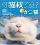 Cover of 你猫叔了没