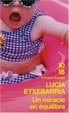Cover of Un miracle en équilibre