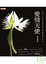 Cover of "愛情天使"