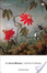Cover of Cent'anni di solitudine