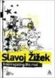 Cover of Interrogating the Real