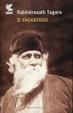 Cover of Il vagabondo