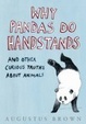 Cover of Why Pandas Do Handstands... And Other Curious Truths About Animals