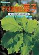 Cover of 不可思議的葉子